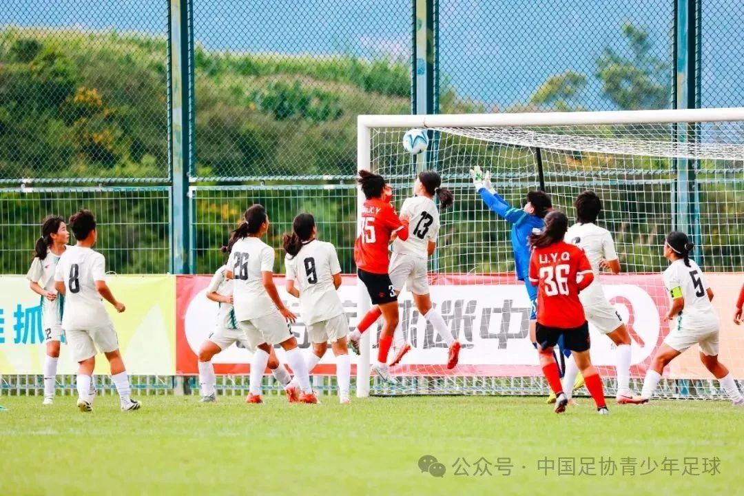 20250818092024_25855.jpg 微信图片_20250818092011.jpg