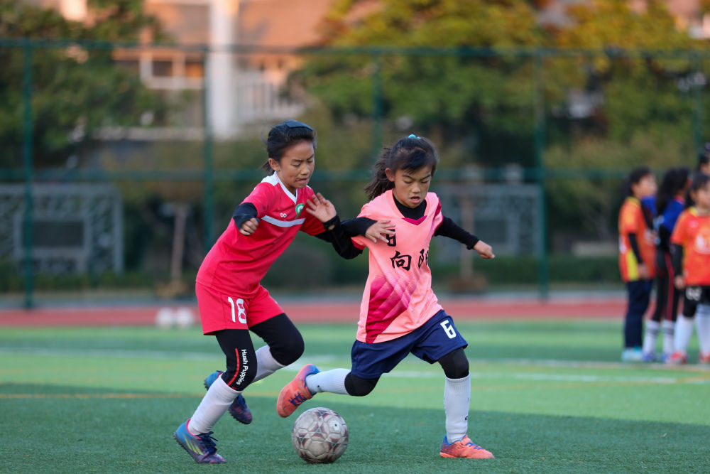 20230721143520_72315.png 图片1.png