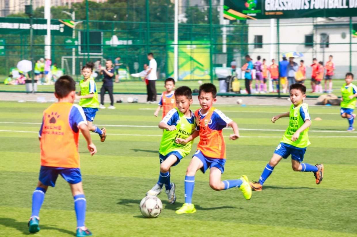 20240517085846_43772.png 图片3.png